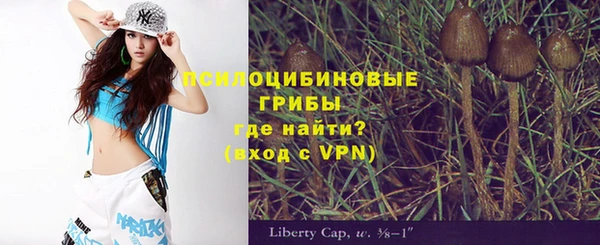 ALPHA-PVP Алексин